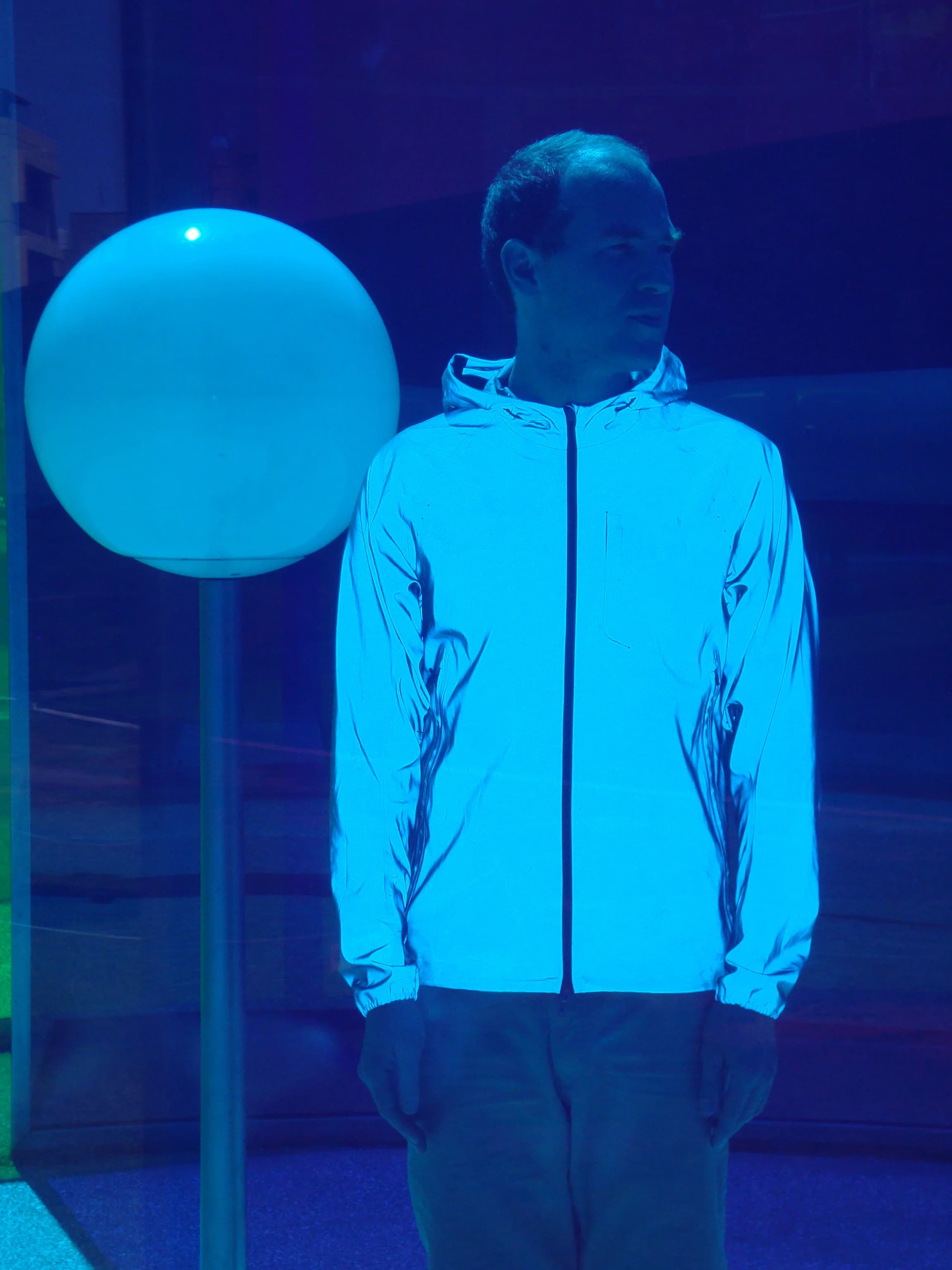 Daphni band photo